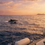 Private 4h sailing barcelona