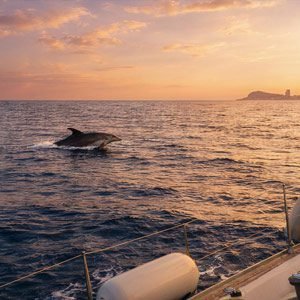 Private 4h sailing barcelona